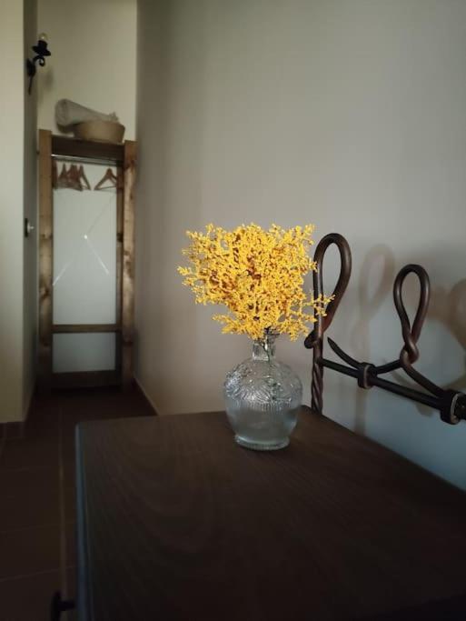 La Casa De La Abuela Amalia Lägenhet Arenas de San Pedro Exteriör bild